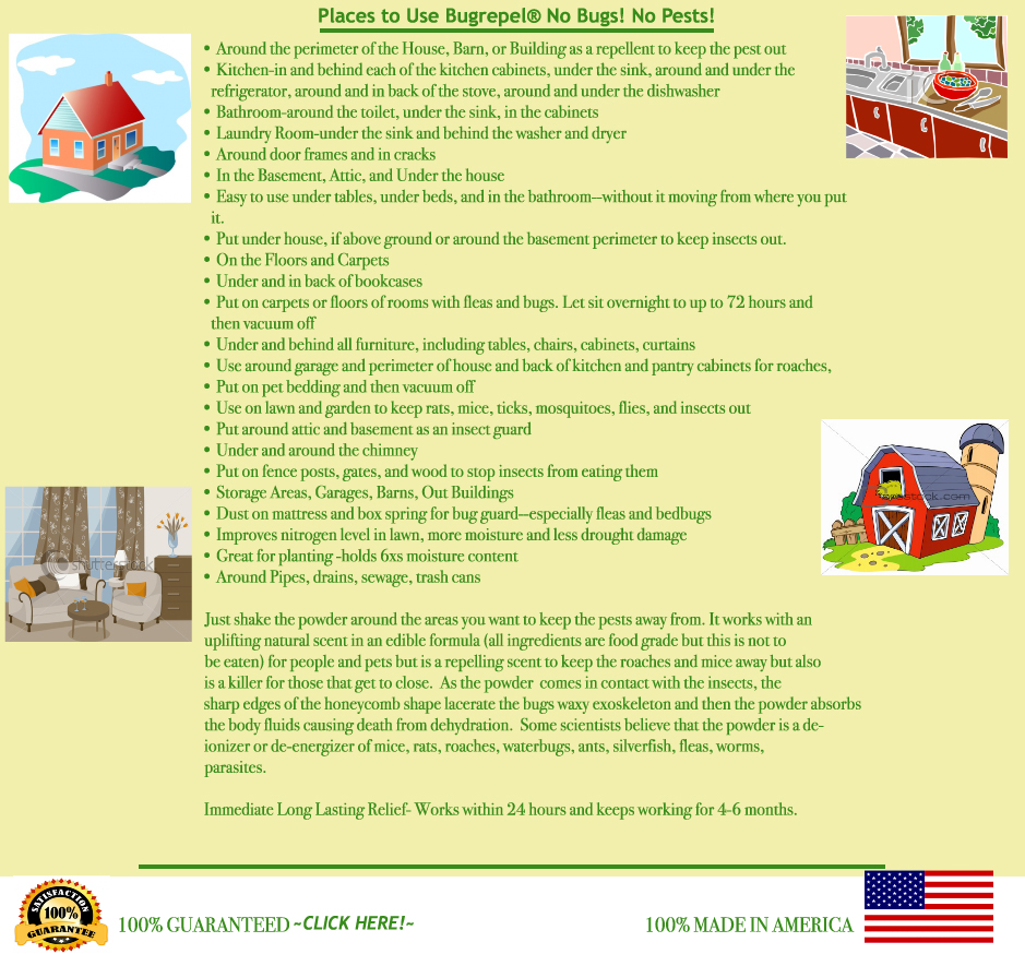 100% MADE IN AMERICA