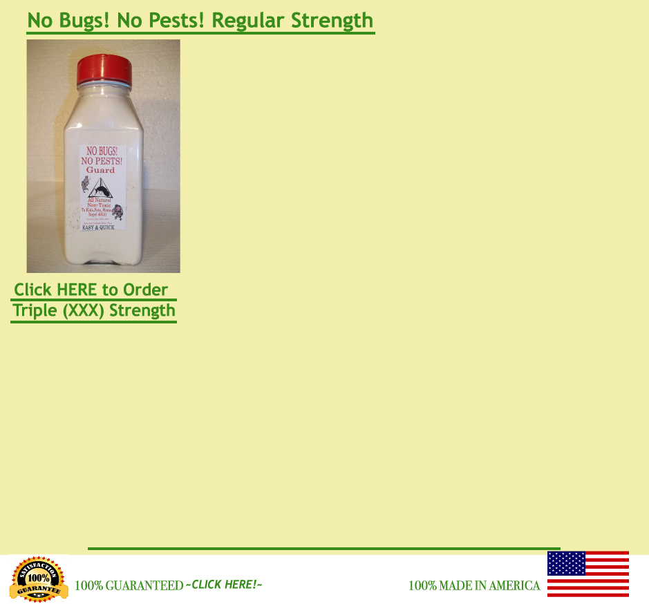 100% MADE IN AMERICA